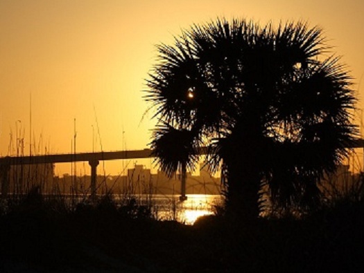 A quick walk around Sand Key