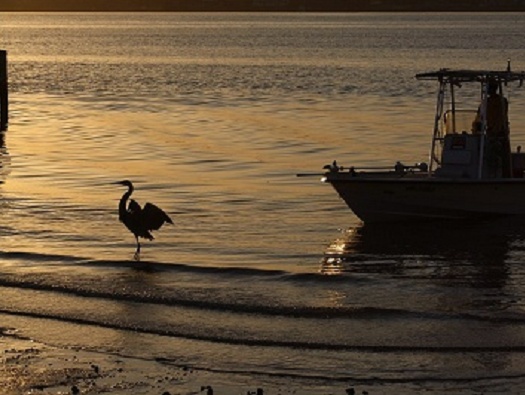 On The Beach On The Beach